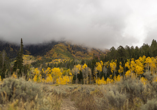 Acorn Creek Trail