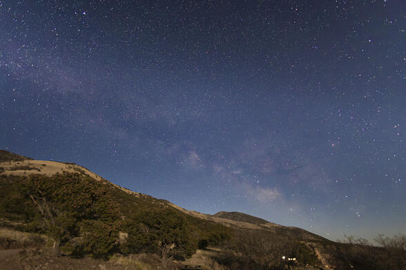 Rising Galaxy