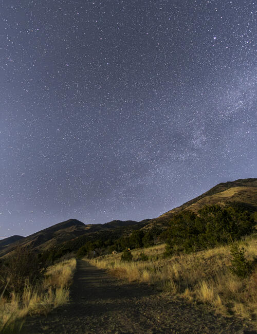 Along the Dirt Road