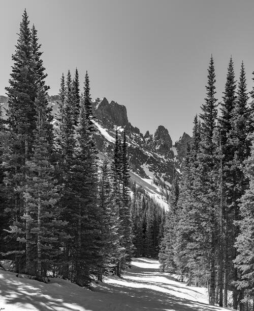 The Crags
