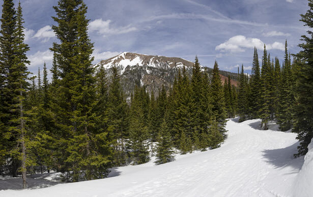 South Diamond Peak Again
