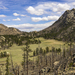 Grey Rock Meadow