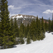 South Diamond Peak Again