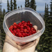 Raspberry Forging