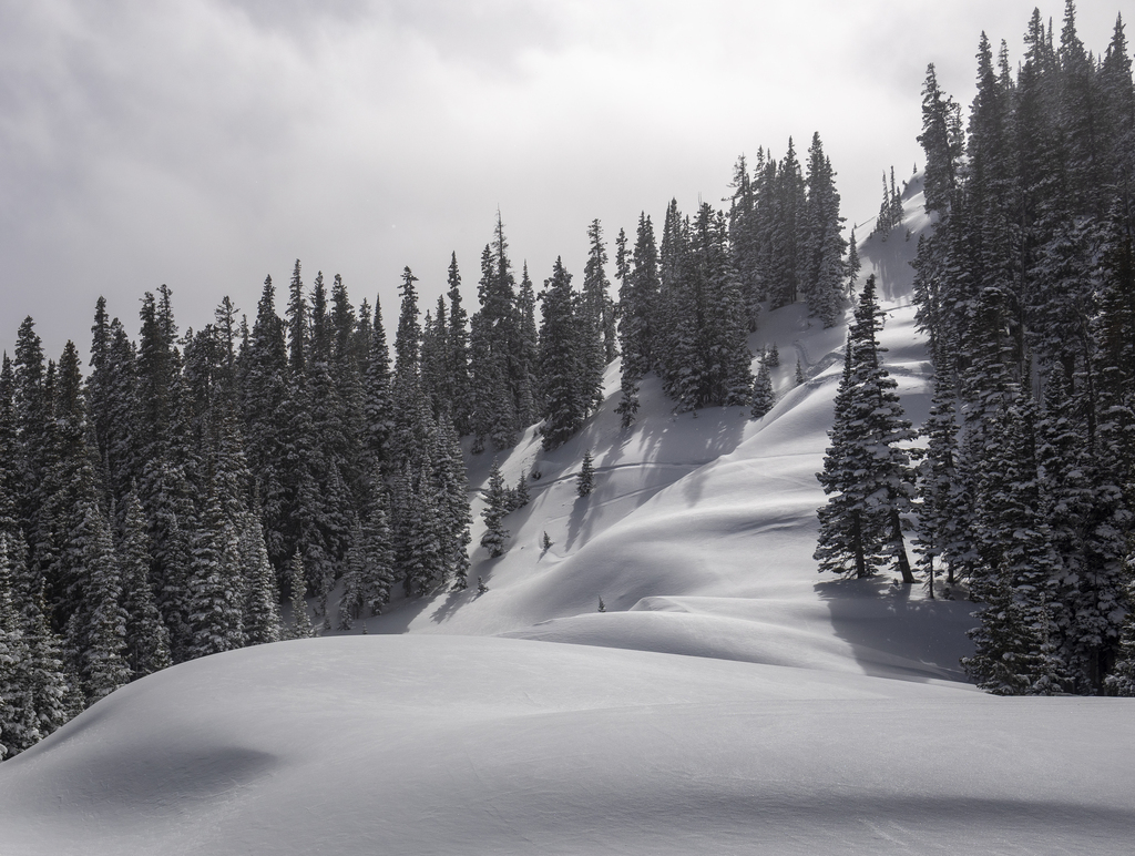 Blanket of Snow