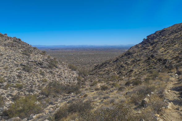 The Valley In the Distance