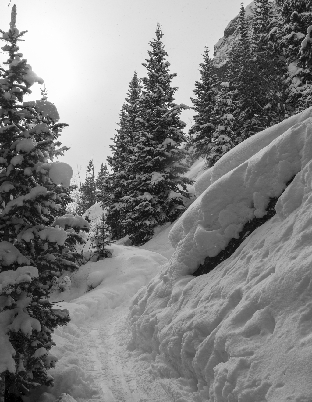 Snowy Trail