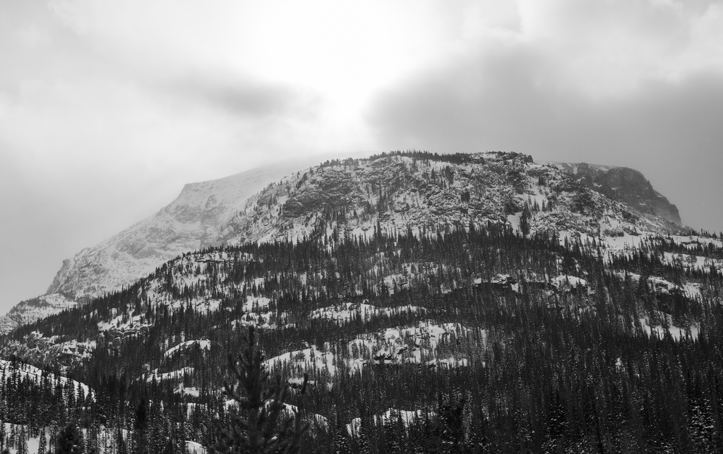 Half Mountain