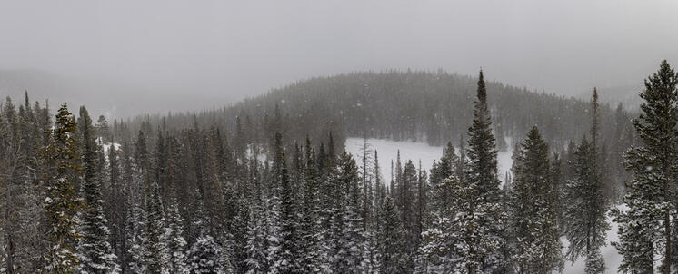 Nymph Lake