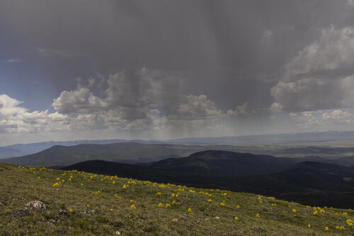 Rain Incoming