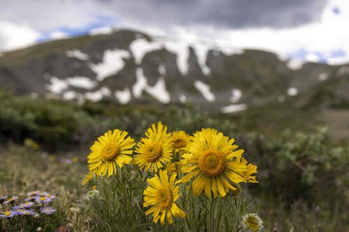 Old Man of the Mountain