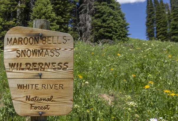 Maroonbells Wilderness