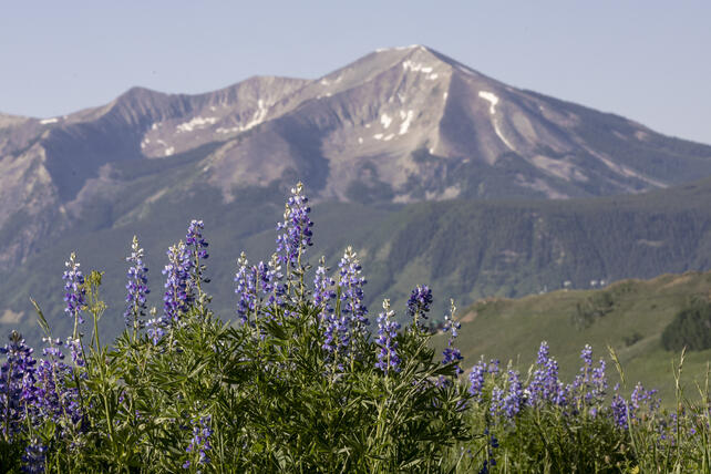 Whetstone Mountain
