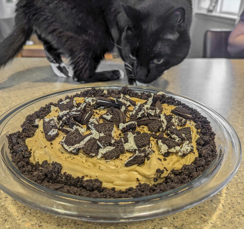 Pi Day