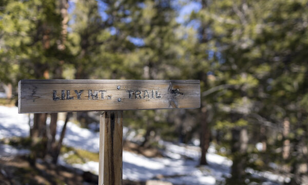 Lilly Mountain