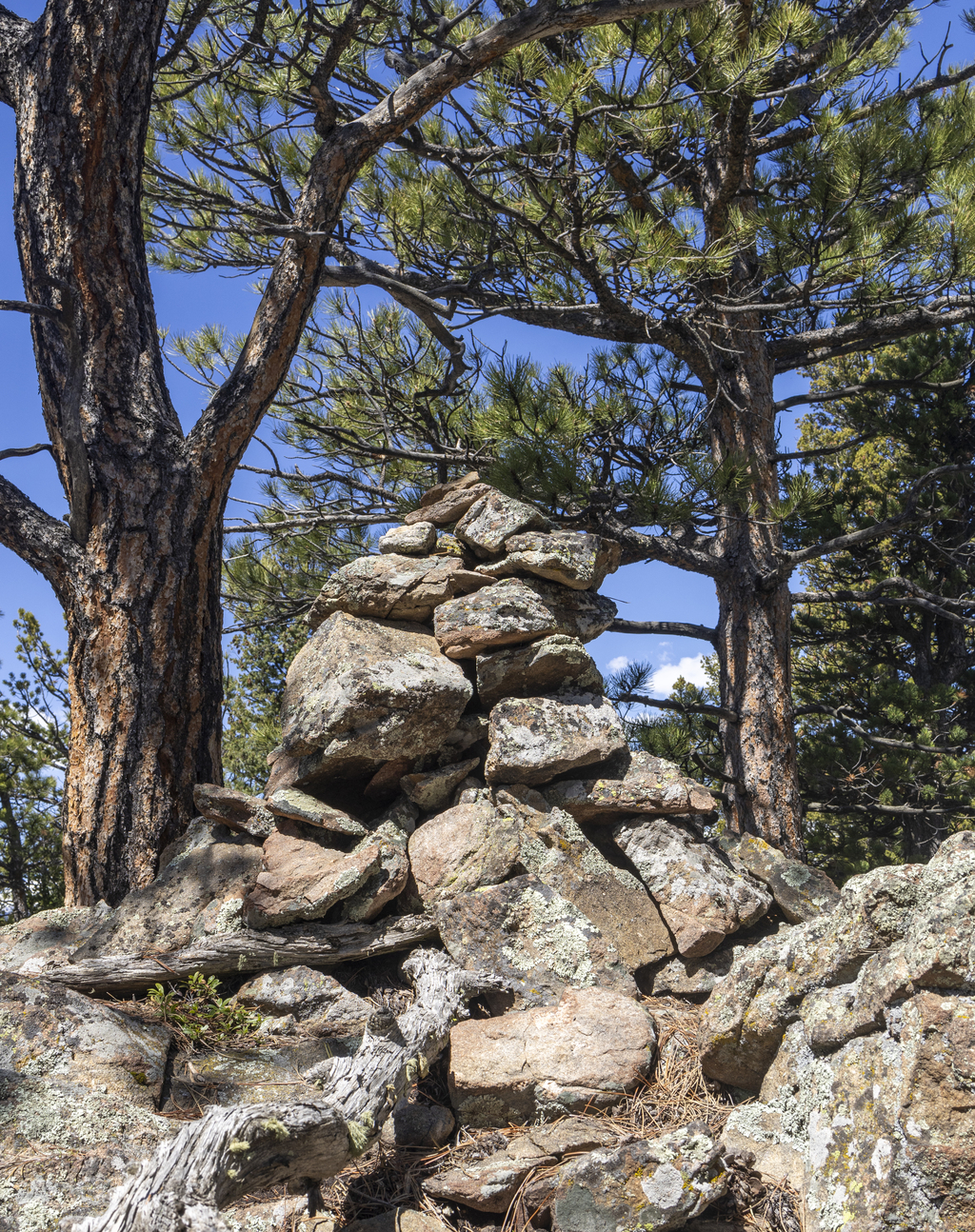Hiking Log Location