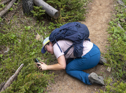 Blocking the Trail