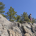 Taylor Mountain Summit